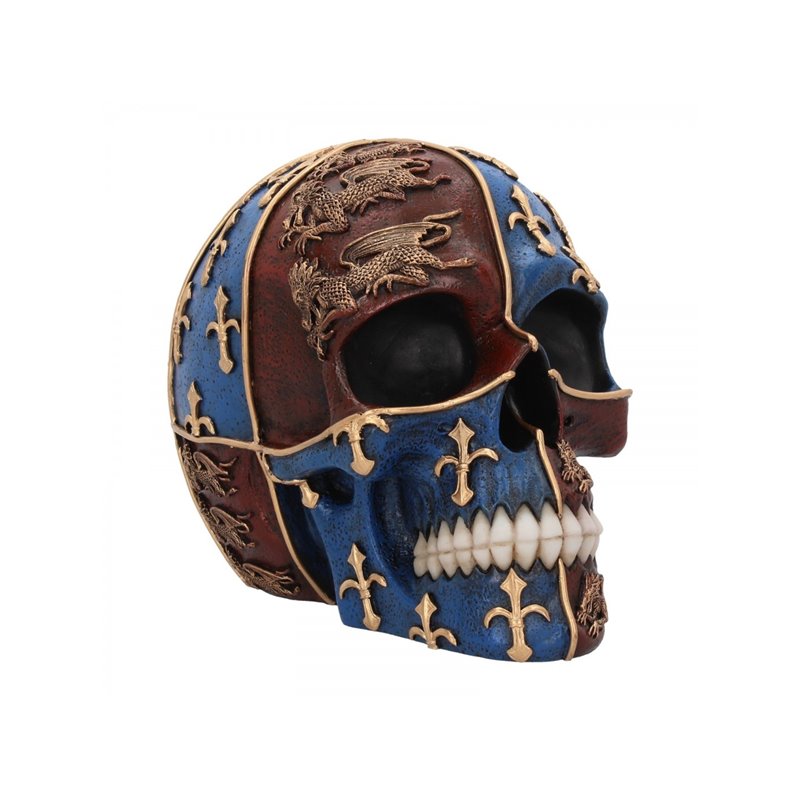 Medieval Skull