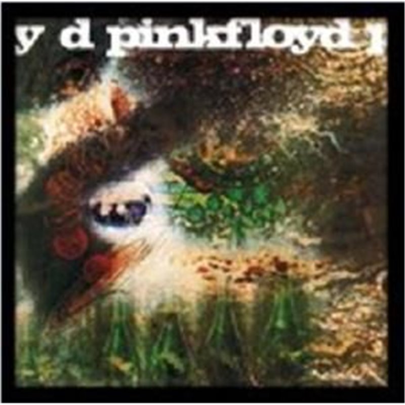 A Saucerful Of Secrets