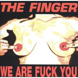 We Are Fuck You / Punk's...
