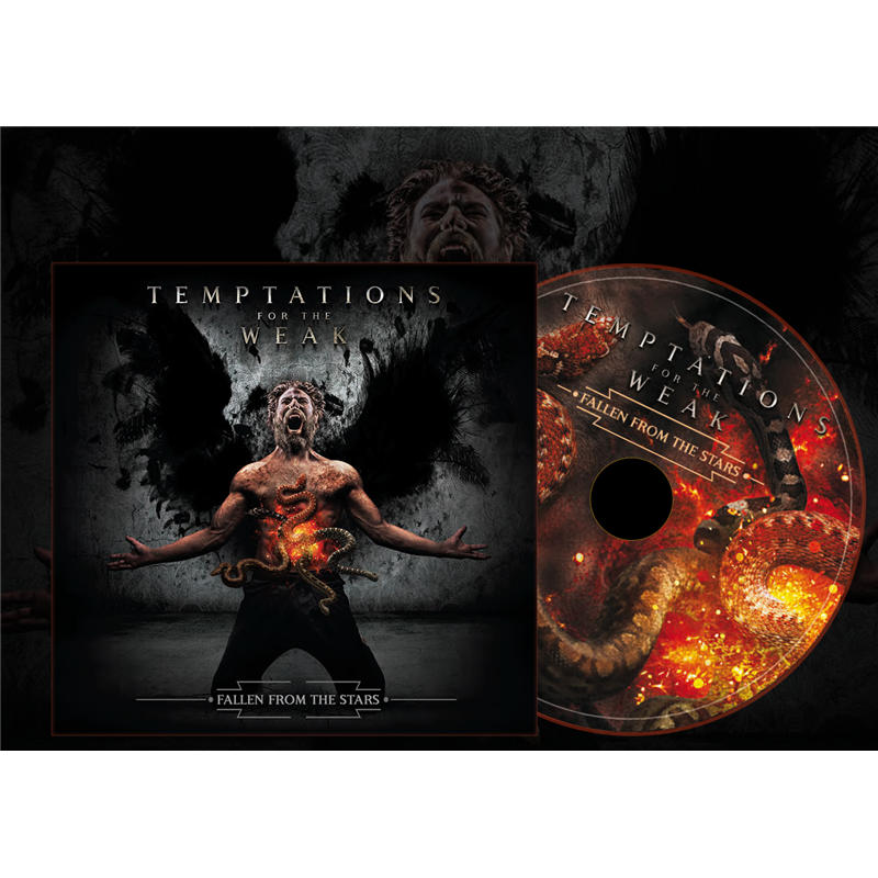 Fallen From The Stars