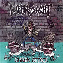 Shark Attack