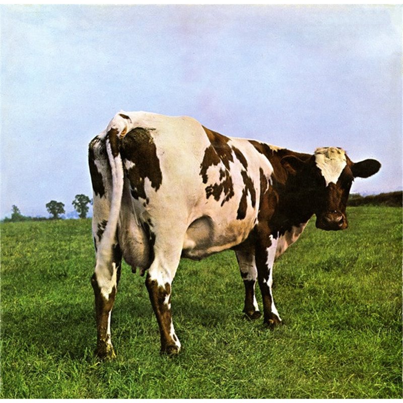 Atom Heart Mother