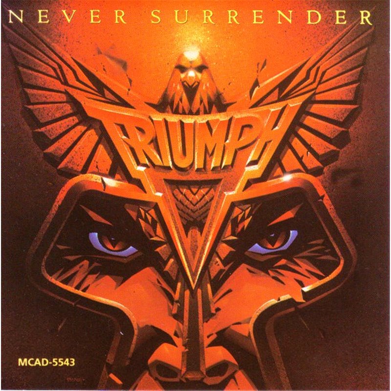 Never Surrender 