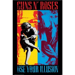 Use Your Illusion