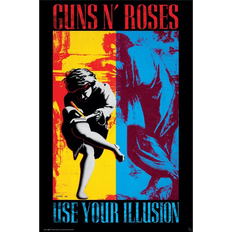 Use Your Illusion