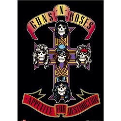 Appetite For Destruction