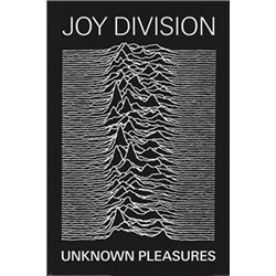 Unknown Pleasures