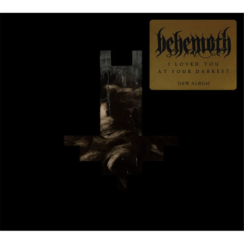 I Loved You At Your Darkest