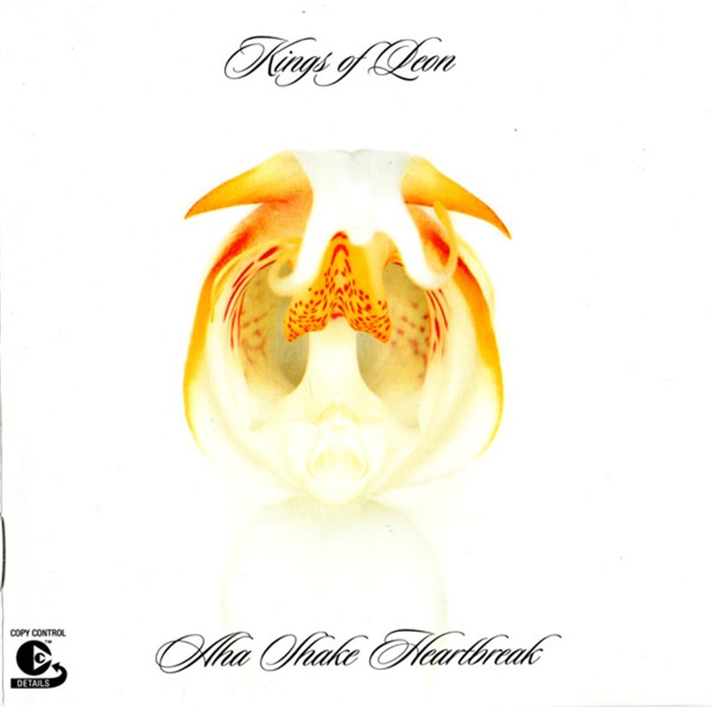 Aha Shake Heartbreak