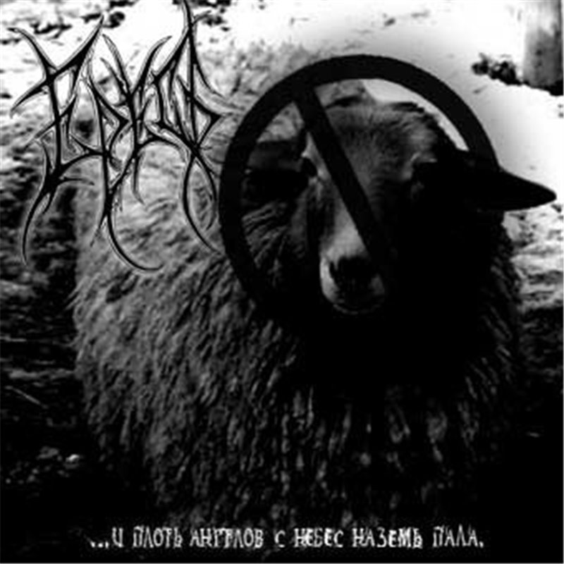 ... And The Flesh Of Angels Fell Down On The Earth