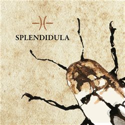 Splendidula