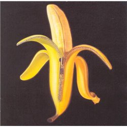 Welcome To The Monkey House