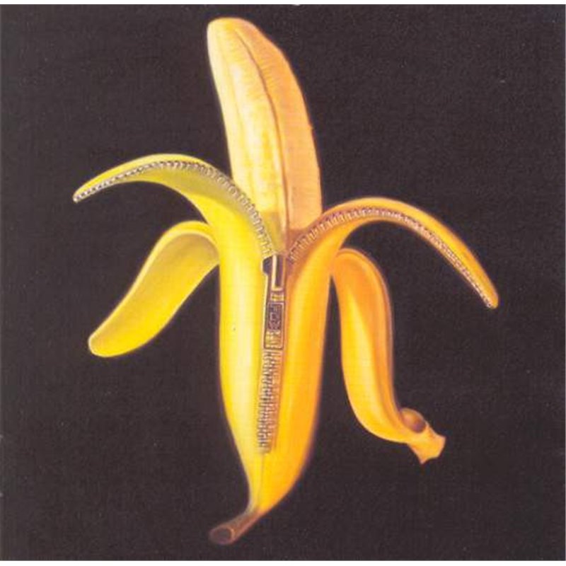 Welcome To The Monkey House