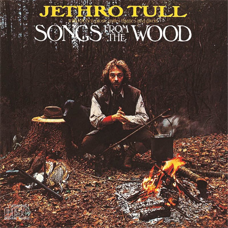 Songs From The Wood