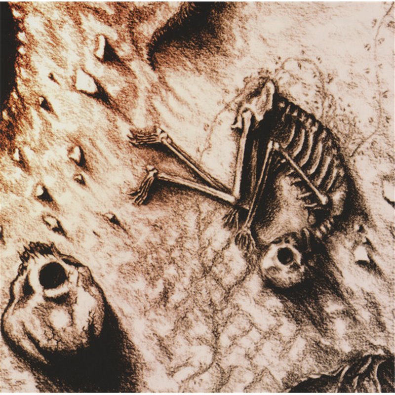 The Death Of The Sun