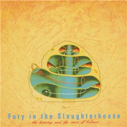 The Hearing And The Sense Of Balance