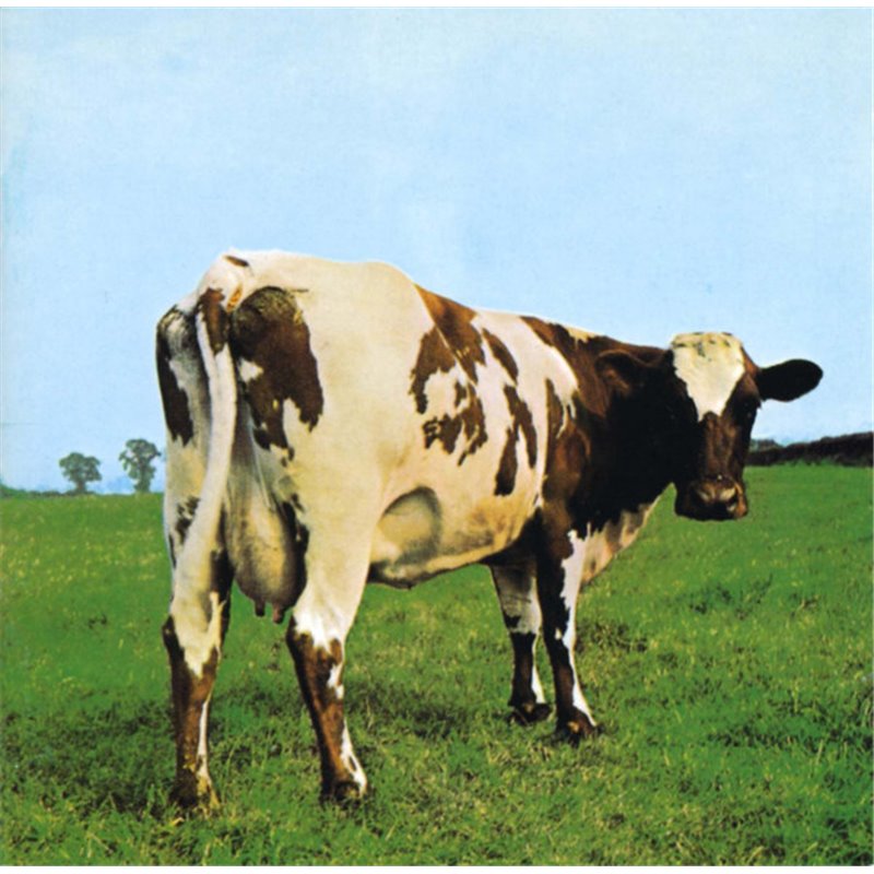Atom Heart Mother