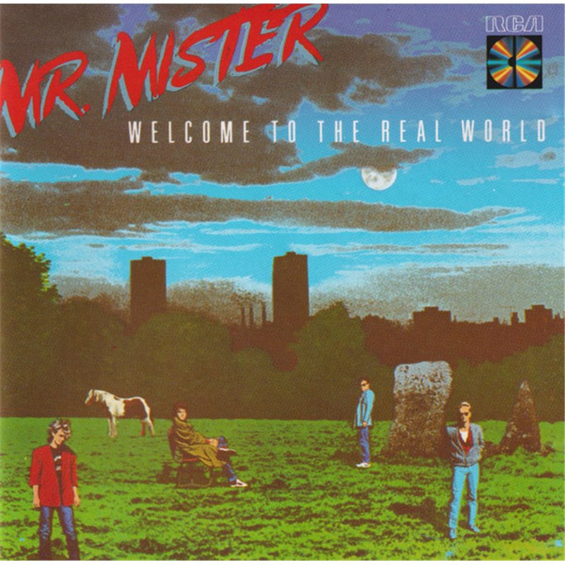 Welcome To The Real World