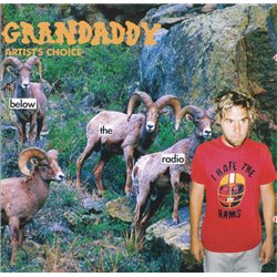 Artist's Choice: Below The Radio