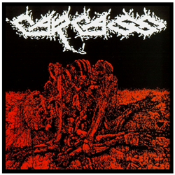 Flesh Ripping Symphony