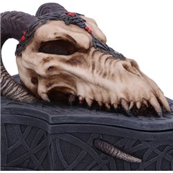 Dragon Skull Box