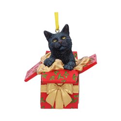 Present Cat