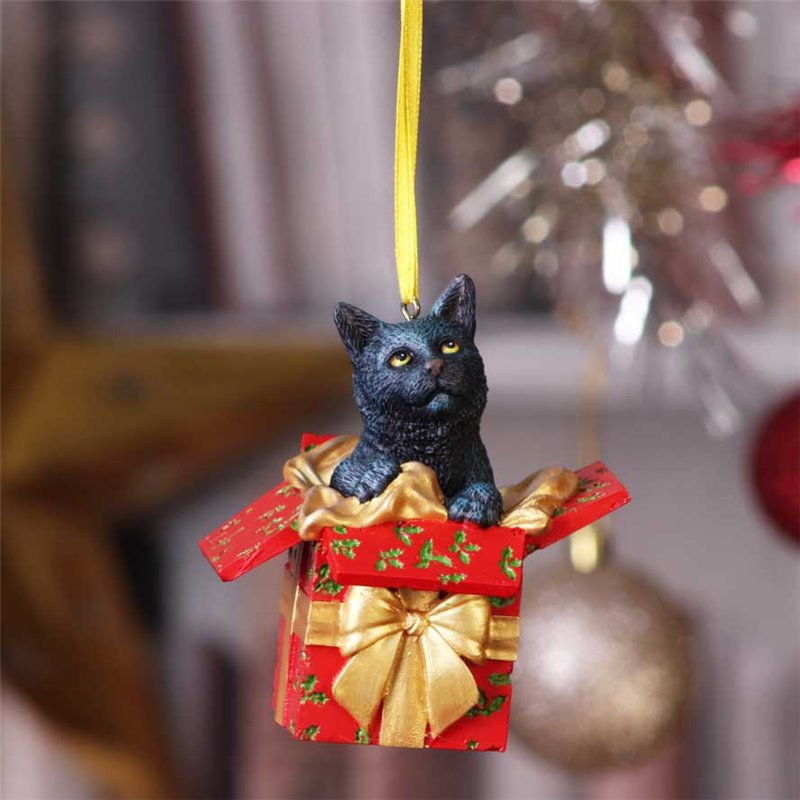 Present Cat