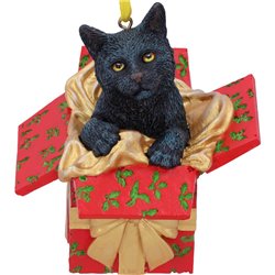 Present Cat