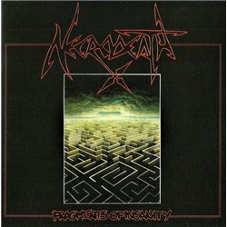 Fragments Of Insanity