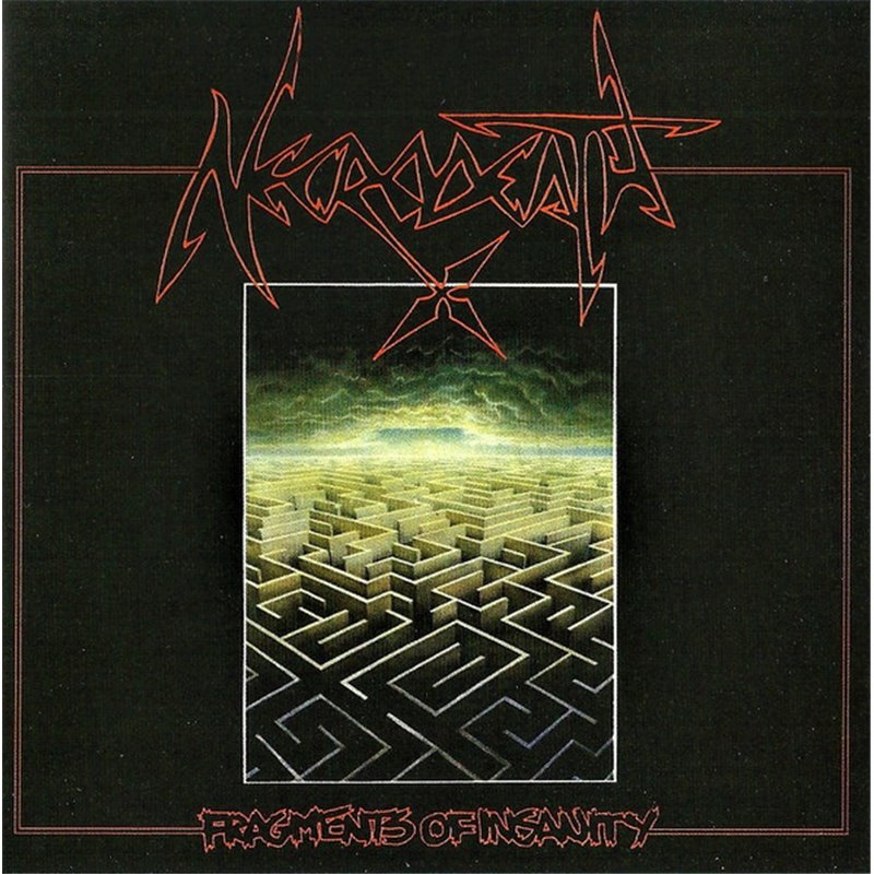 Fragments Of Insanity