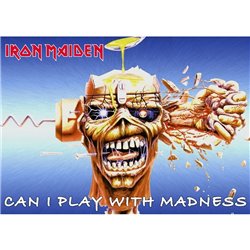 Can I Play With Madness