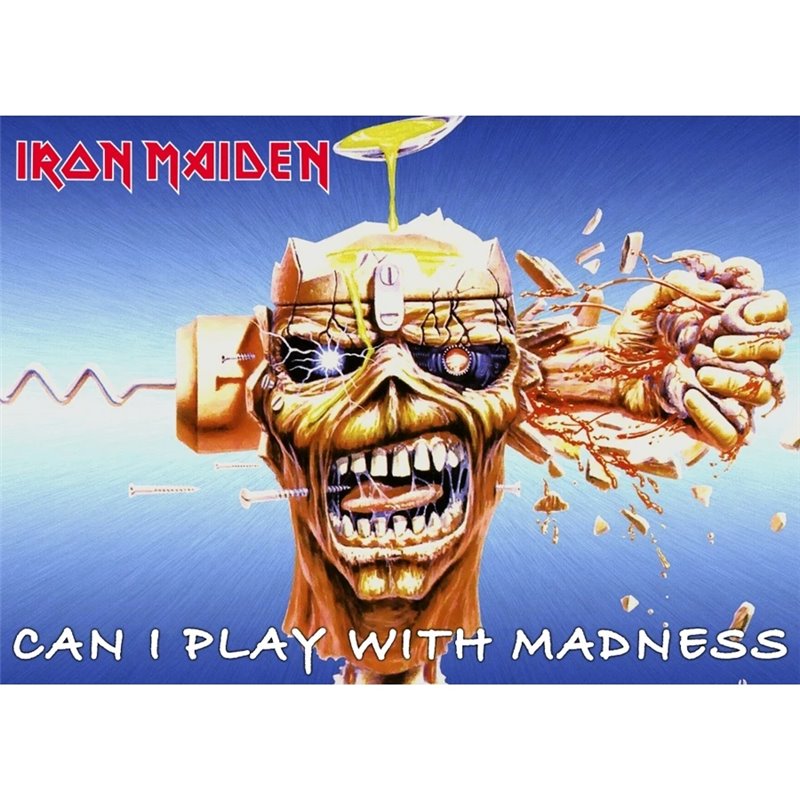 Can I Play With Madness