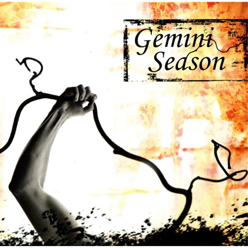 Gemini Season