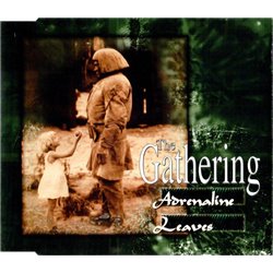 Adrenaline / Leaves