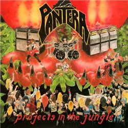 Projects In The Jungle