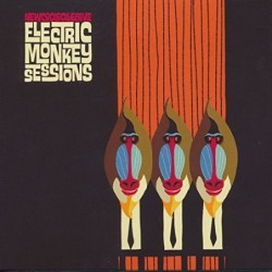 Electric Monkey Sessions