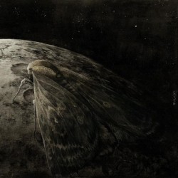 The Moth And The Moon