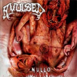 Nullo - The Pleasure Of...