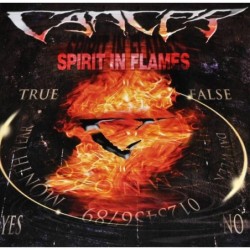 Spirit In Flames