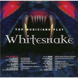 Top Musicians Play Whitesnake