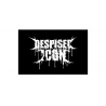 Despised Icon